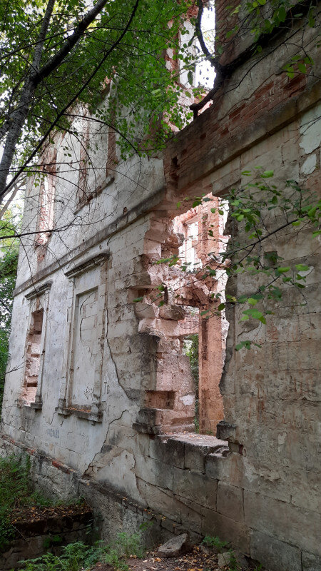 Заброшенная усадьба
