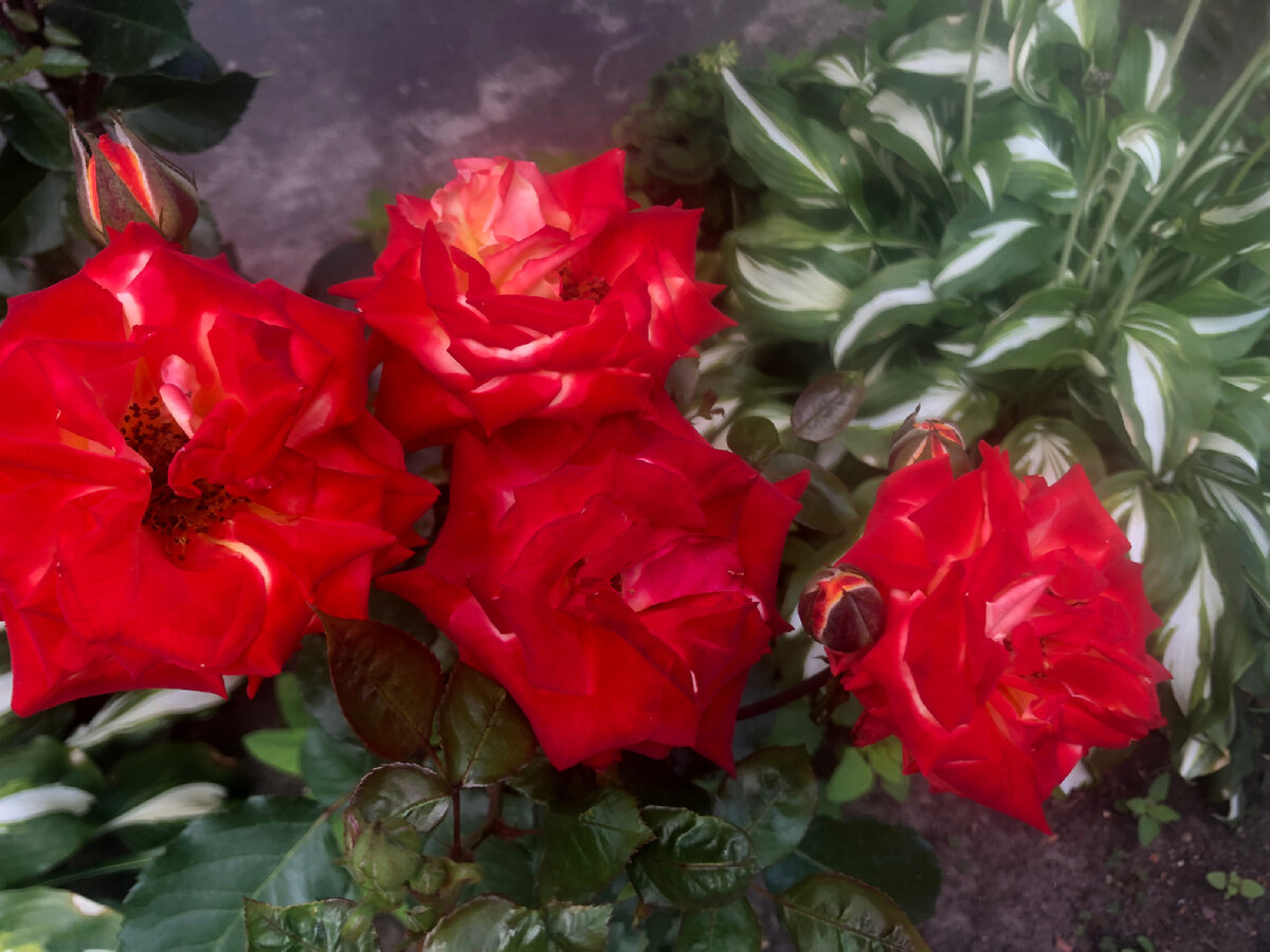 Личное фото