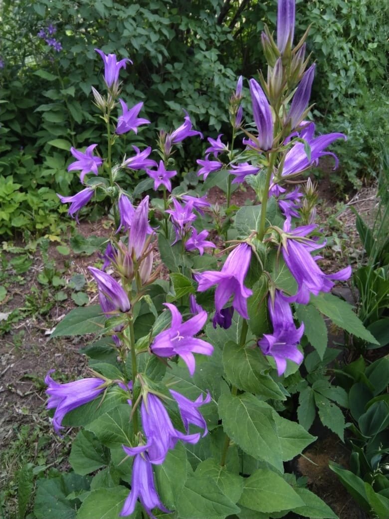 Личное фото.