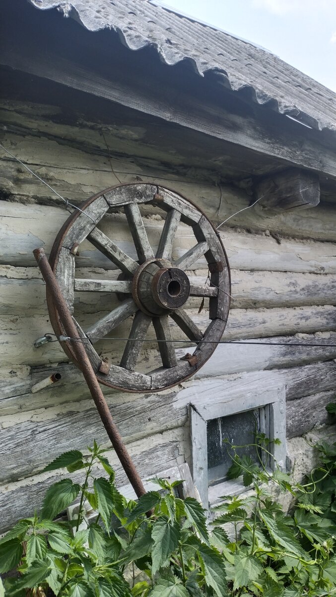 Когда же рубль из деревянного отольется, пускай по первой, в позолоченный?