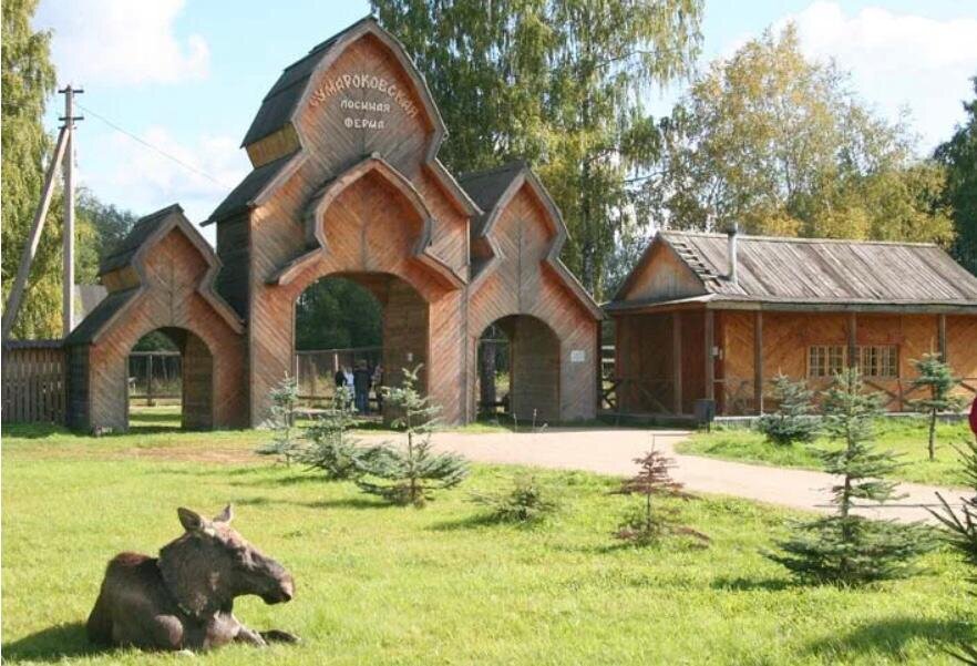 Сумароковская лосеферма. Костромская область Сумароковская лосеферма. Сумароковская ферма Кострома. Лосиная ферма Сумароково Кострома. Сумароковский заказник Кострома.