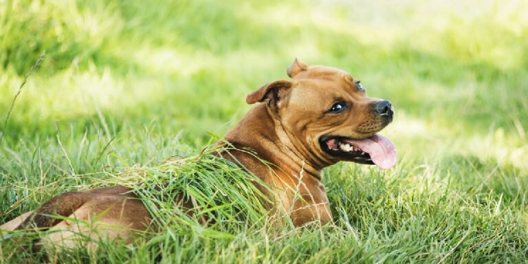 Фото: RT (https://mf.b37mrtl.ru/russian/images/2023.06/article/649ad684ae5ac9056b09ed6b.jpg)