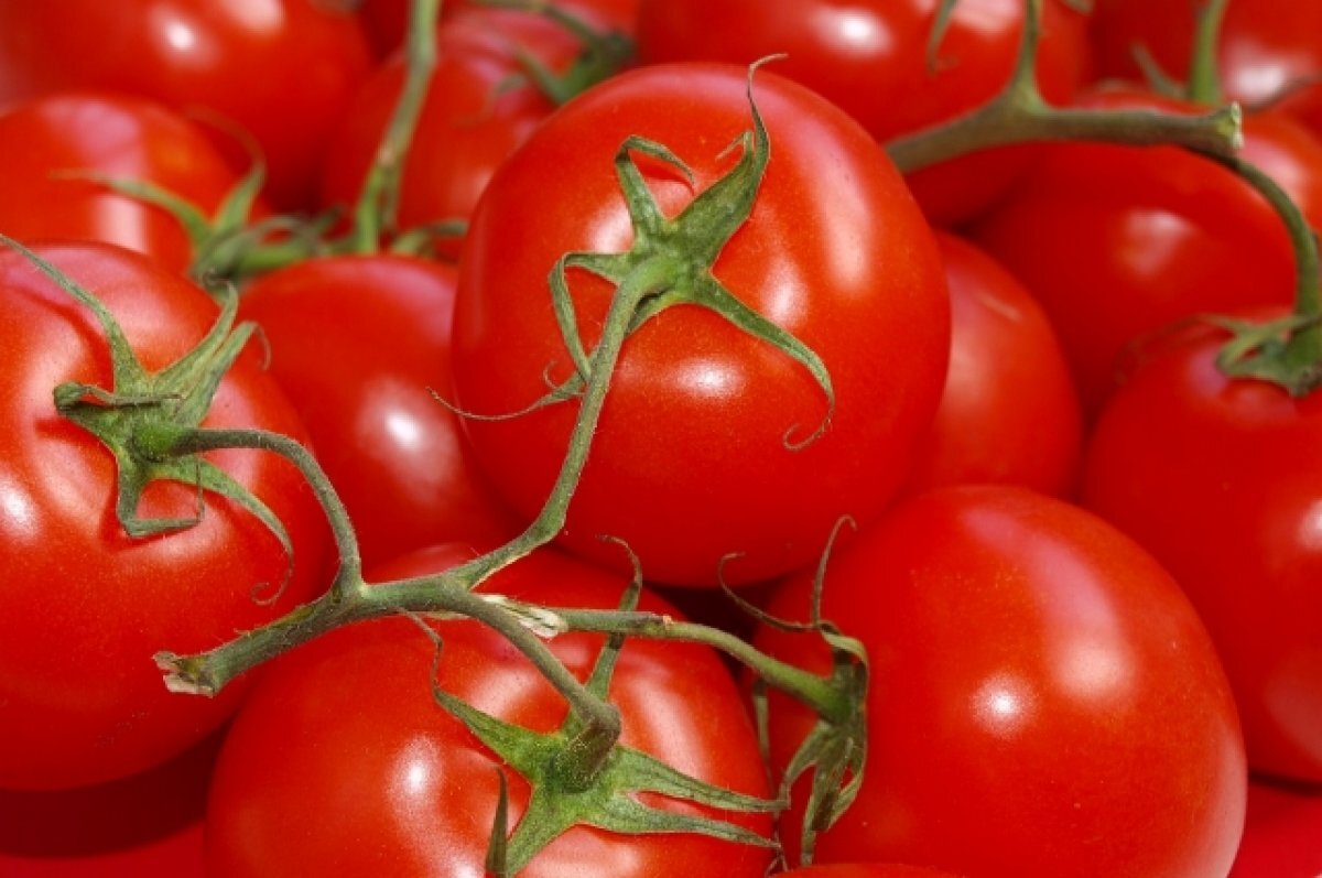    Вирус морщинистости обнаружили алтайские эксперты в помидорах из Казахстана