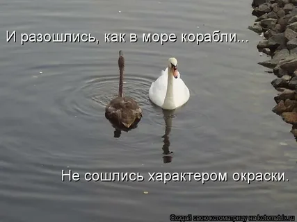 из интернета