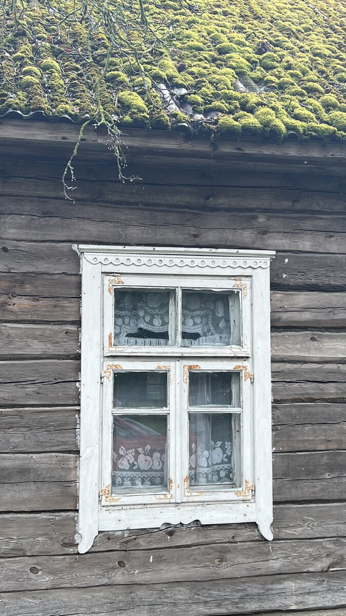 Дома ветшают, природа понемногу забирает свое. Фото автора