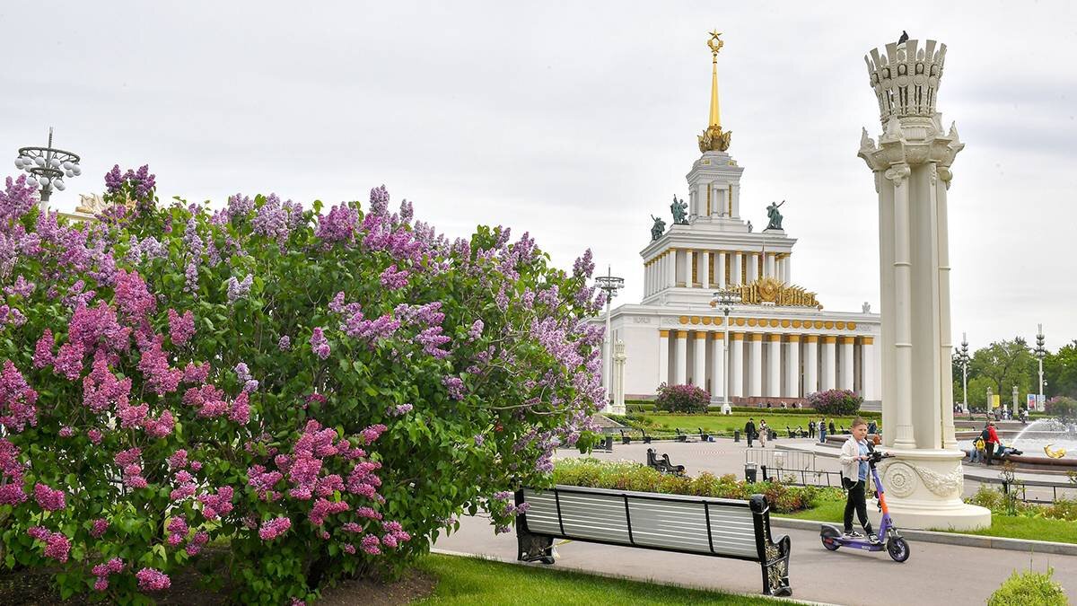    Фото: Сергей Киселев / АГН Москва