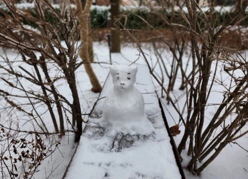 Фото из открытых ресурсов интернета