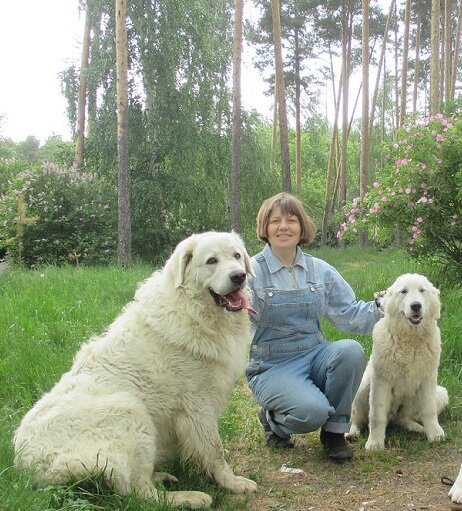 Татьяна Геннадьевна своими собаками.