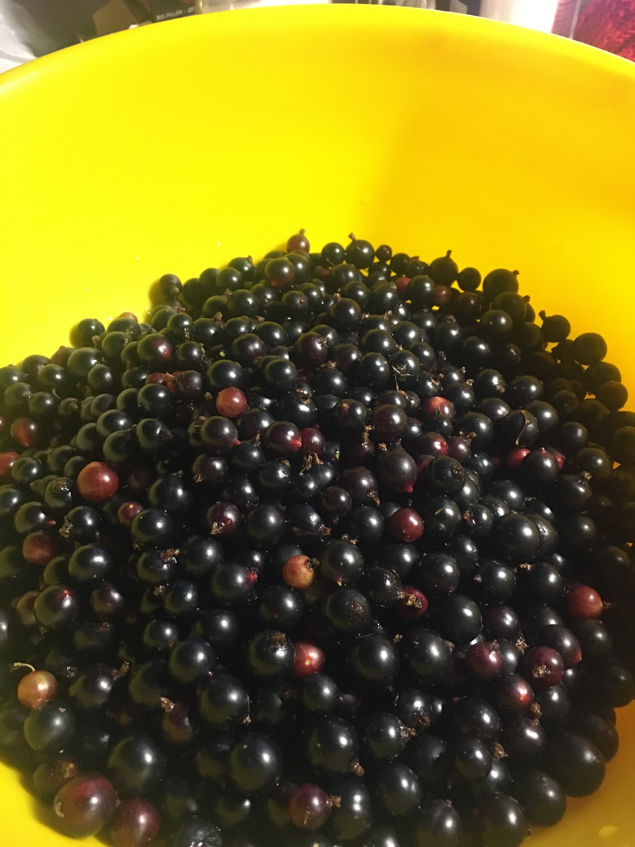 получилось 3 контейнера на заморозку