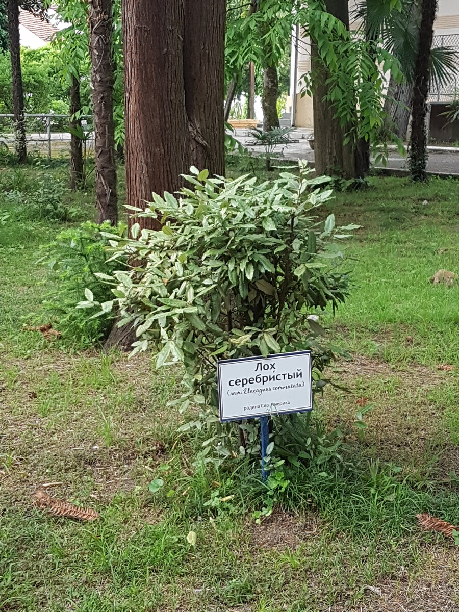 На его месте должна быть я!