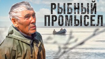 Рыбный промысел на Ямале: какие лодки используют рыбаки и на какие сети ловят