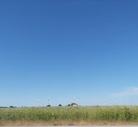 Домик в поле