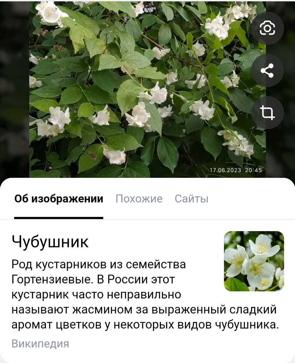 Скрин с открытого источника поисковой системы Яндекс 