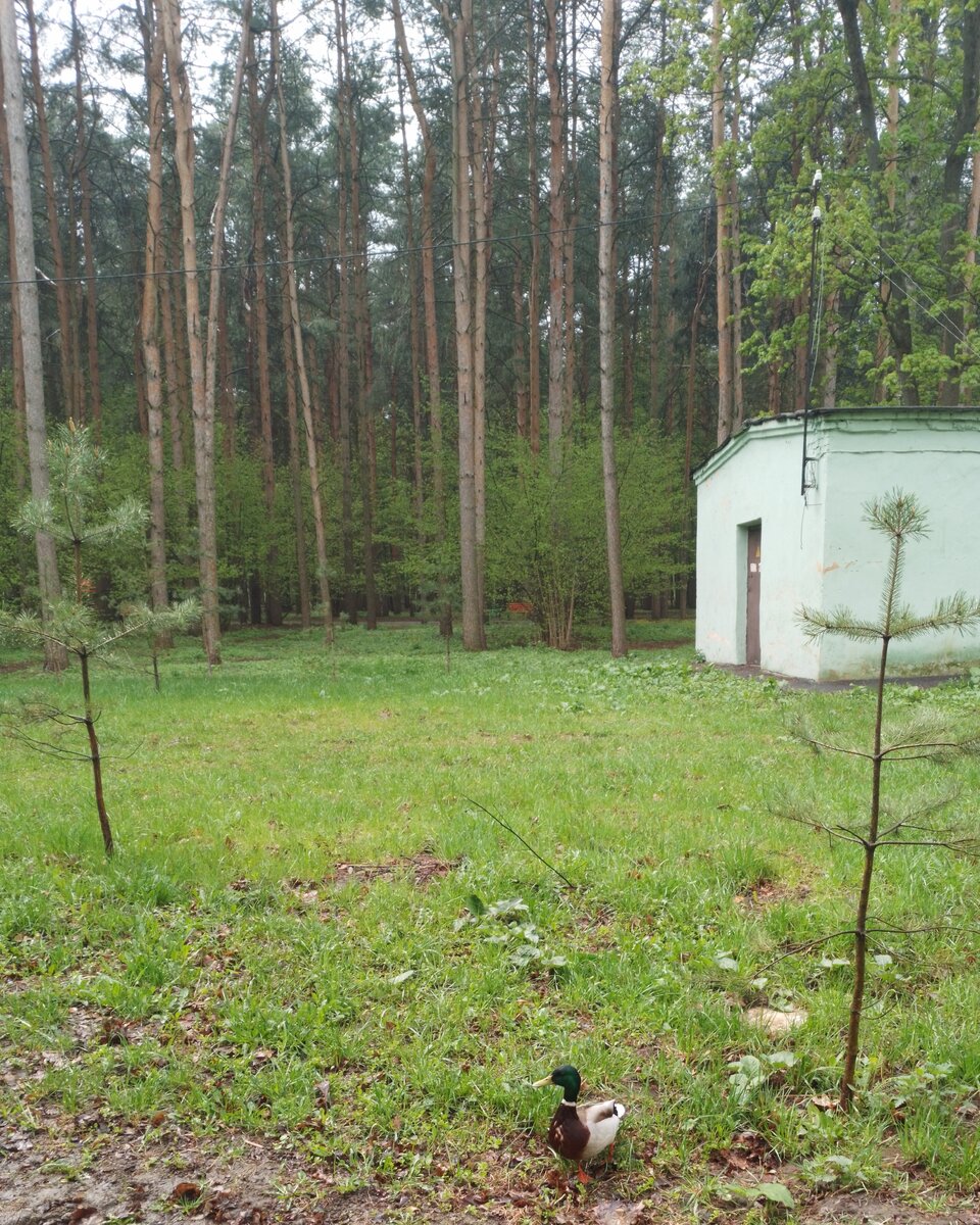 В Туле много мест, которые  можно посетить в выходные и неплохо отдохнуть.                Казанская набережная, музеи, парки...-2