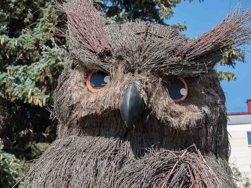 Гостиница десна брянск. Животное символ брянщины. Филин брянск. Брянск филин на площади ленина. Филин ободранный.