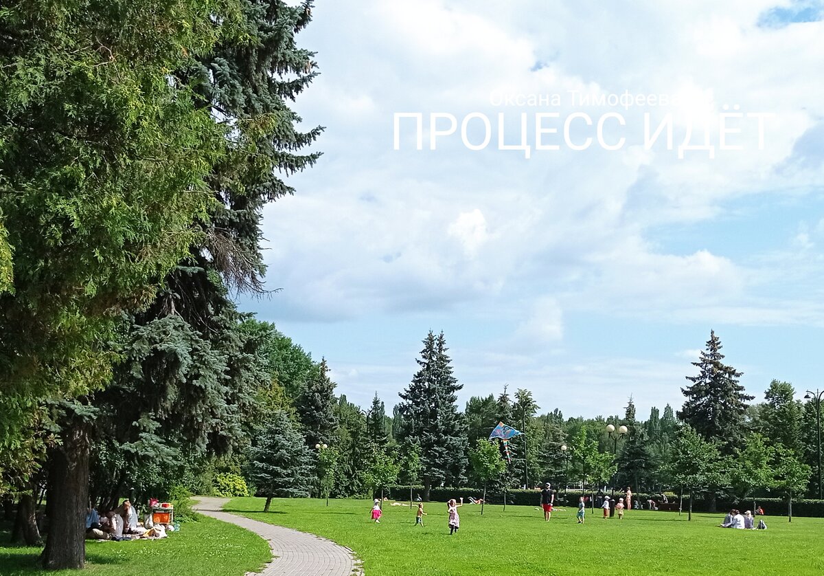 Измайловский парк (Москва)