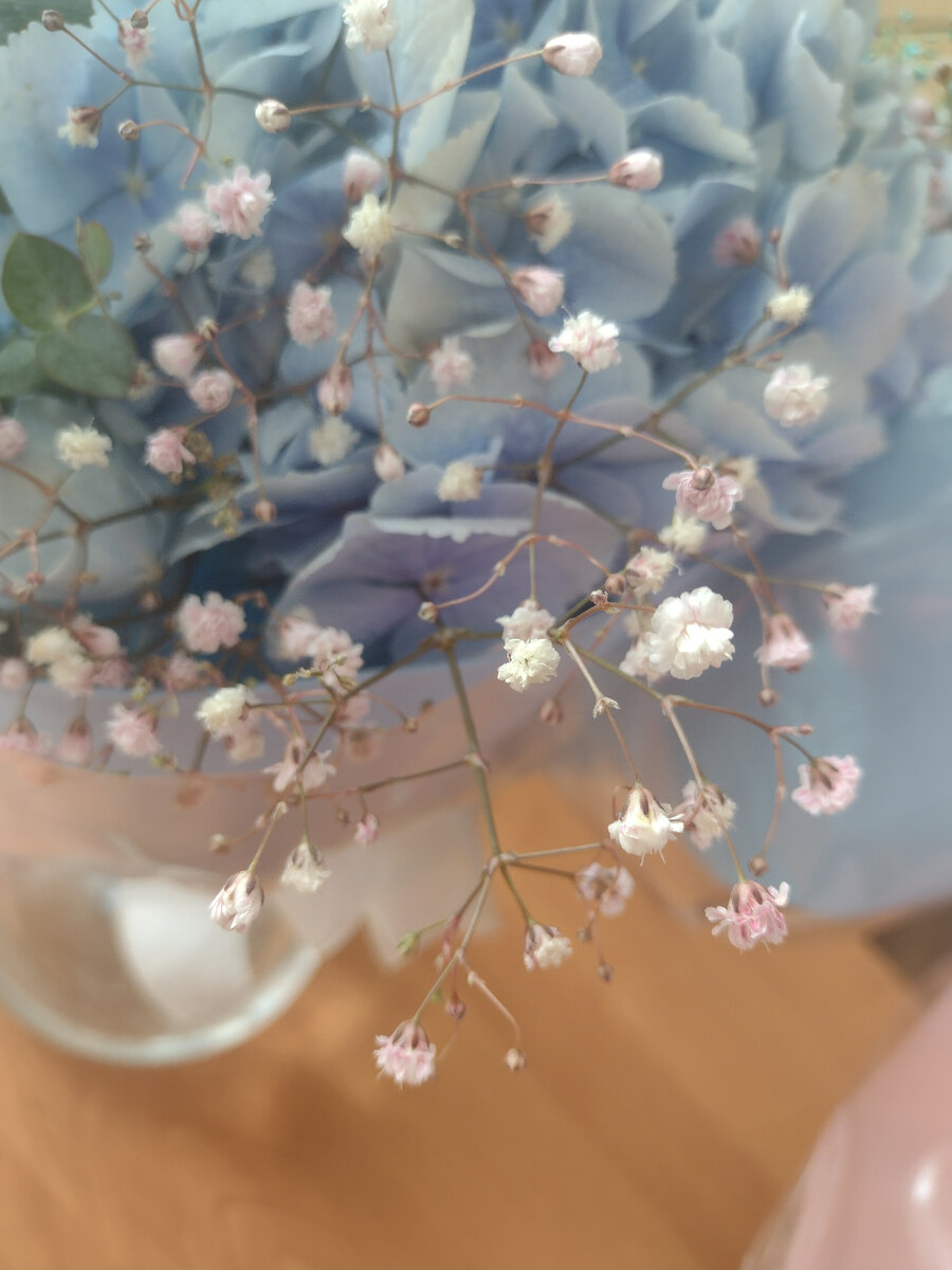 У учителя тоже есть внутренний мир