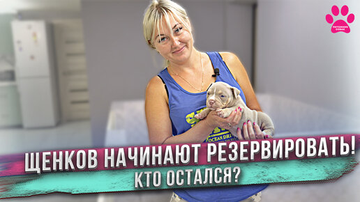 Как Аня справляется с 15 щенками и 3 мамами собаками одновременно?