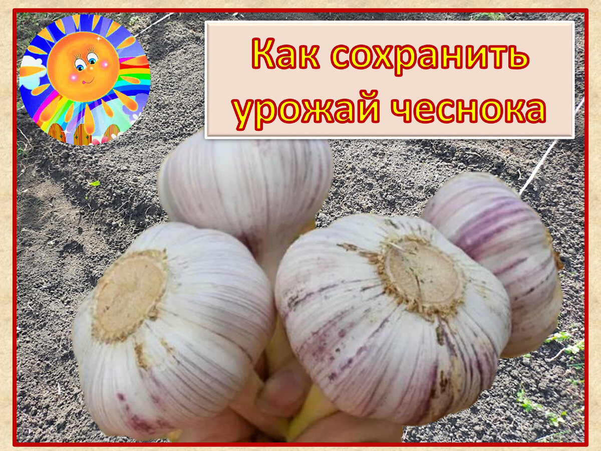 Личный архив