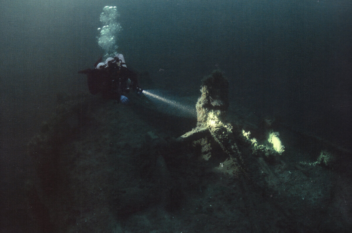 Фото: Оксана Истратова