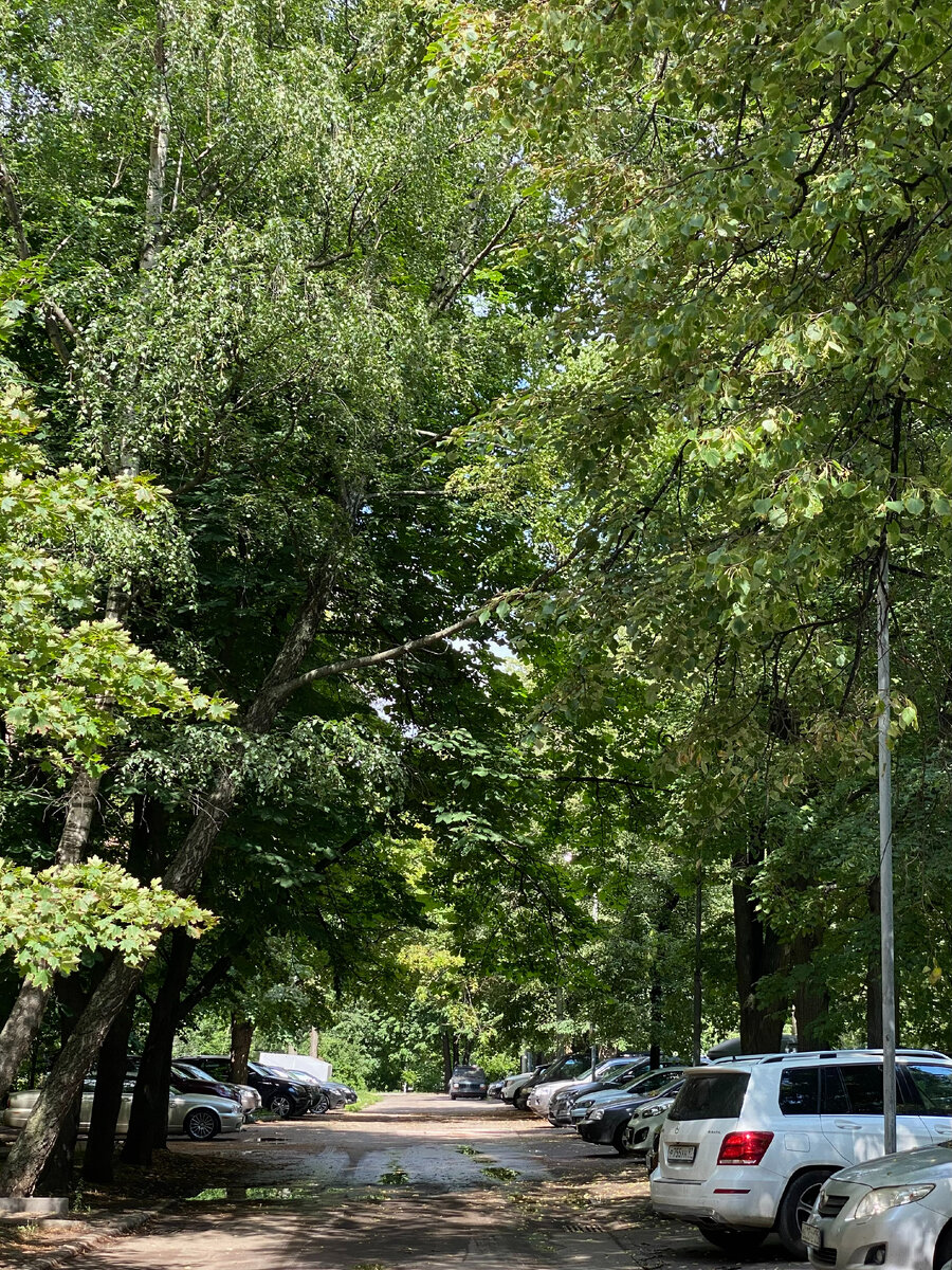 Фото автора канала.