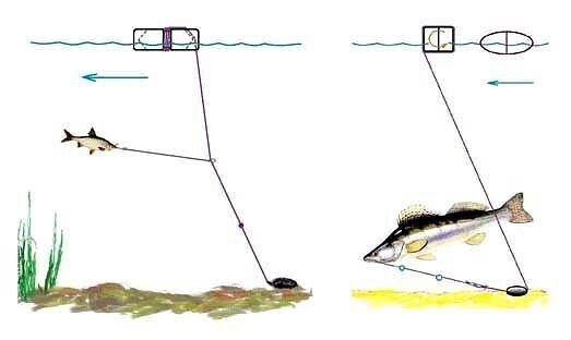 Как сделать донную снасть на судака и поймать хищника