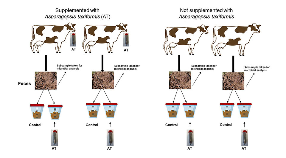   Mohammad Ramin et al. / Frontiers in Sustainable Food Systems, 2023