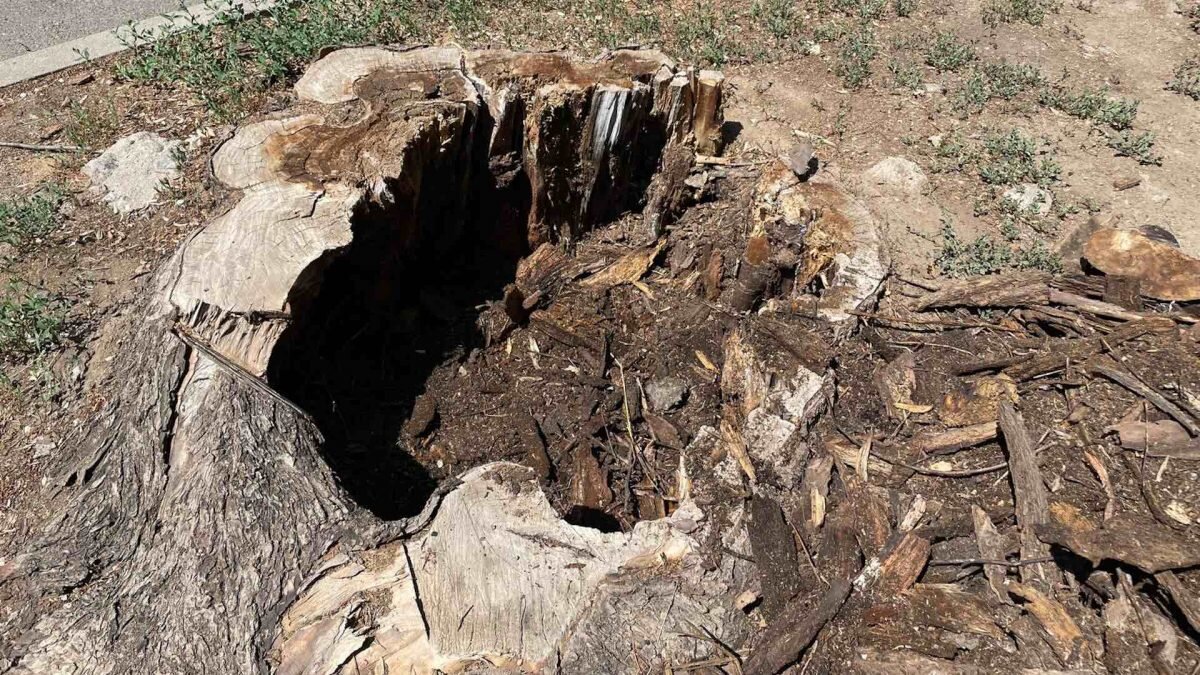    Фото: © Bizmedia.kz Лия Миронова