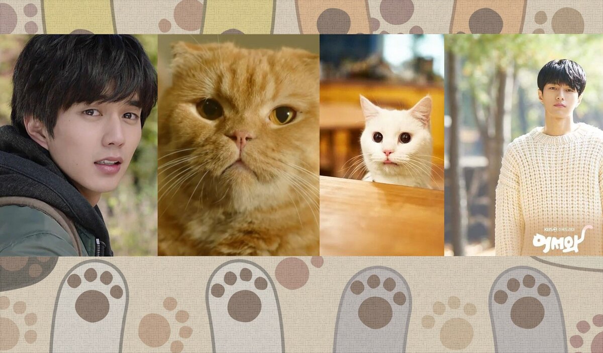 Ю Сын Хо против Ким Мен Су...