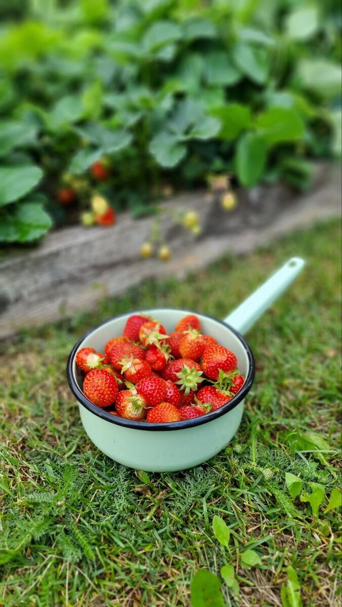 Фото: УСАДЬБУШКА