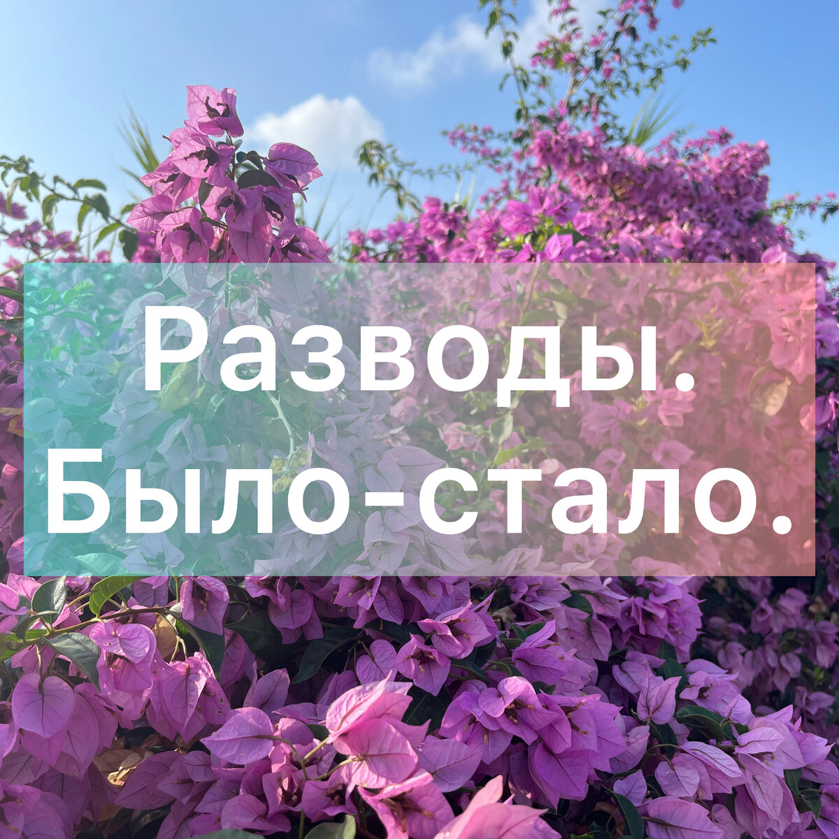 развод, мама, папа, дети, СССР