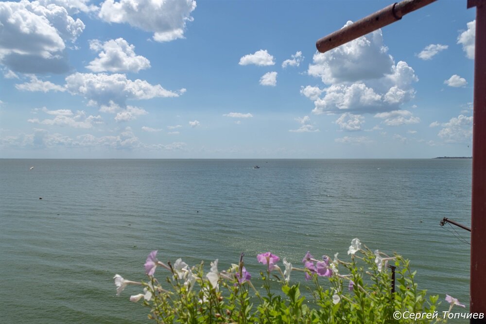 Море Азовское в дали голубой