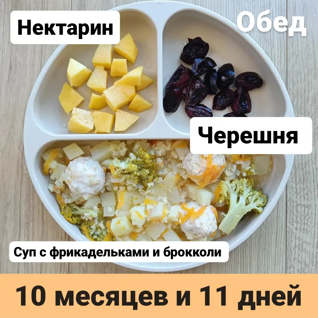 Пример тарелки в 10 месяцев 