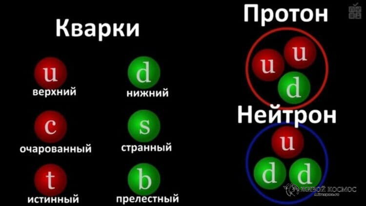      Кварки и строение протона и нейтрона. Из открытых источников.
