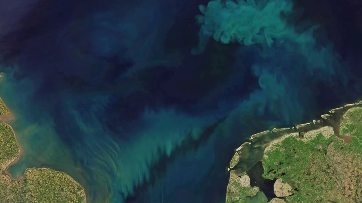 НАСА и Джошуа Стивенс, используя данные Landsat Геологической службы США и данные MODIS от LANCE/EOSDIS Rapid Response. (Фото предоставлено НАСА и Джошуа Стивенсом с использованием данных Landsat Геологической службы США и данных MODIS от LANCE/EOSDIS Rapid Response.)