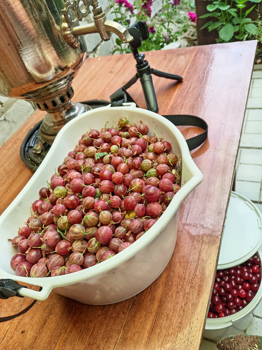 Урожай готовится в путь