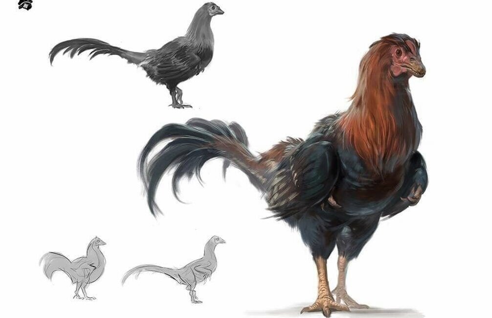 Какой-то странный петушок. (Из открытых источников)