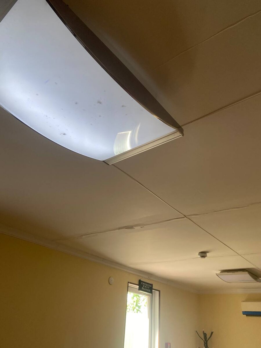 Потолок и люстра с насекомыми внутри