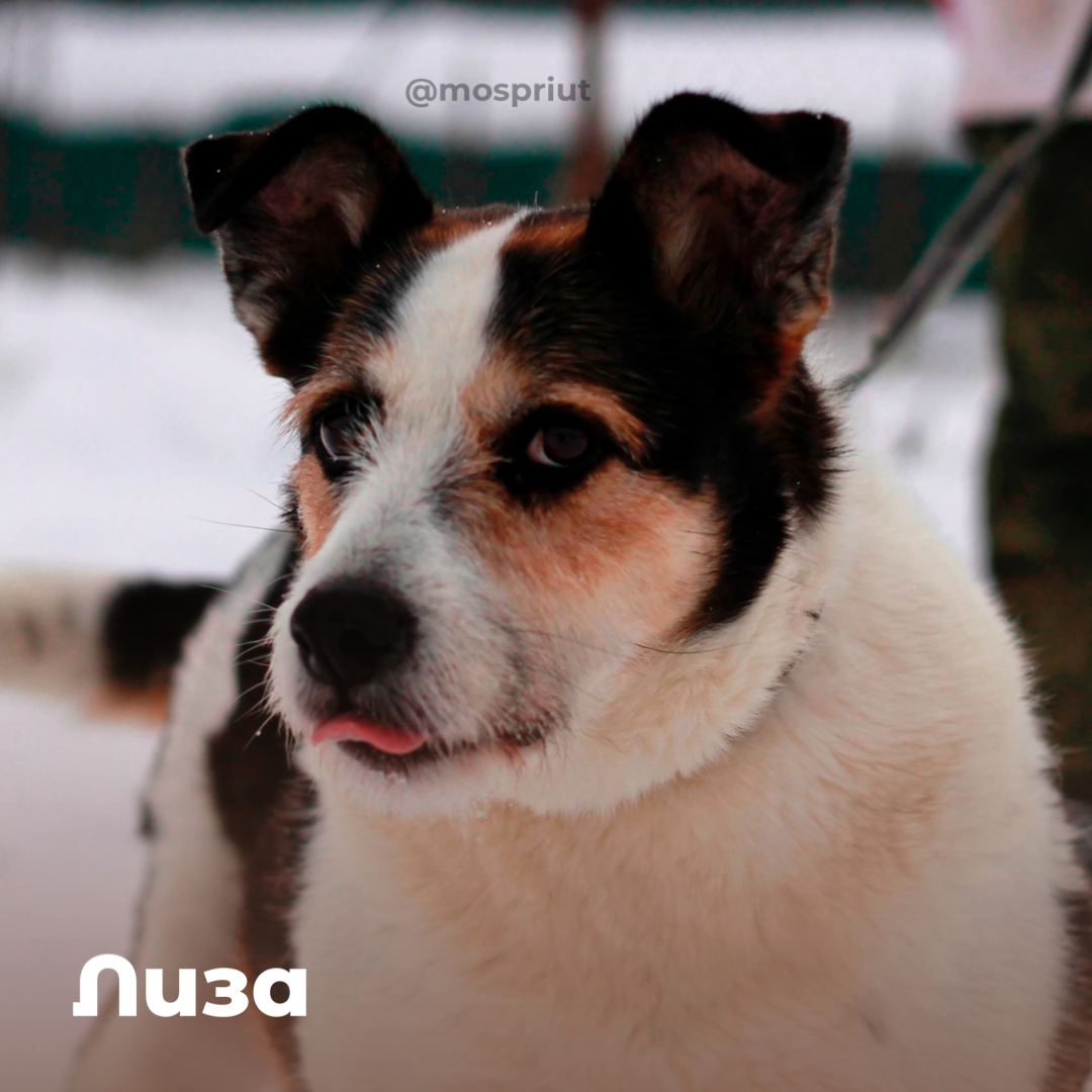 Лиза из приюта Щербинка