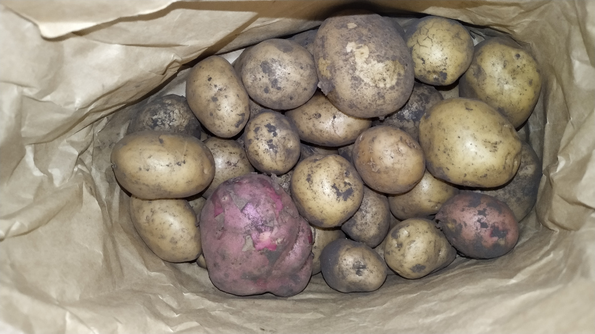 Домашняя картошка