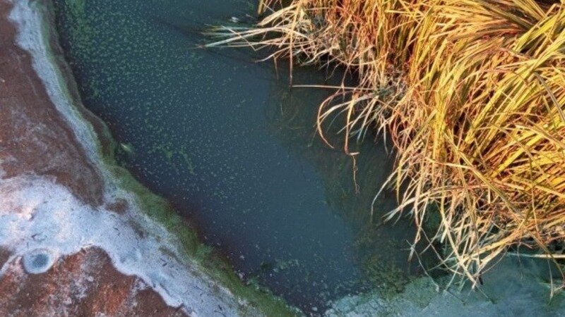     Нижегородская природоохранная прокуратура проводит проверку из-за появления белых разводов на берегу Волги около Балахны. Об этом NewsNN рассказали в самом ведомстве при ответе на запрос.
