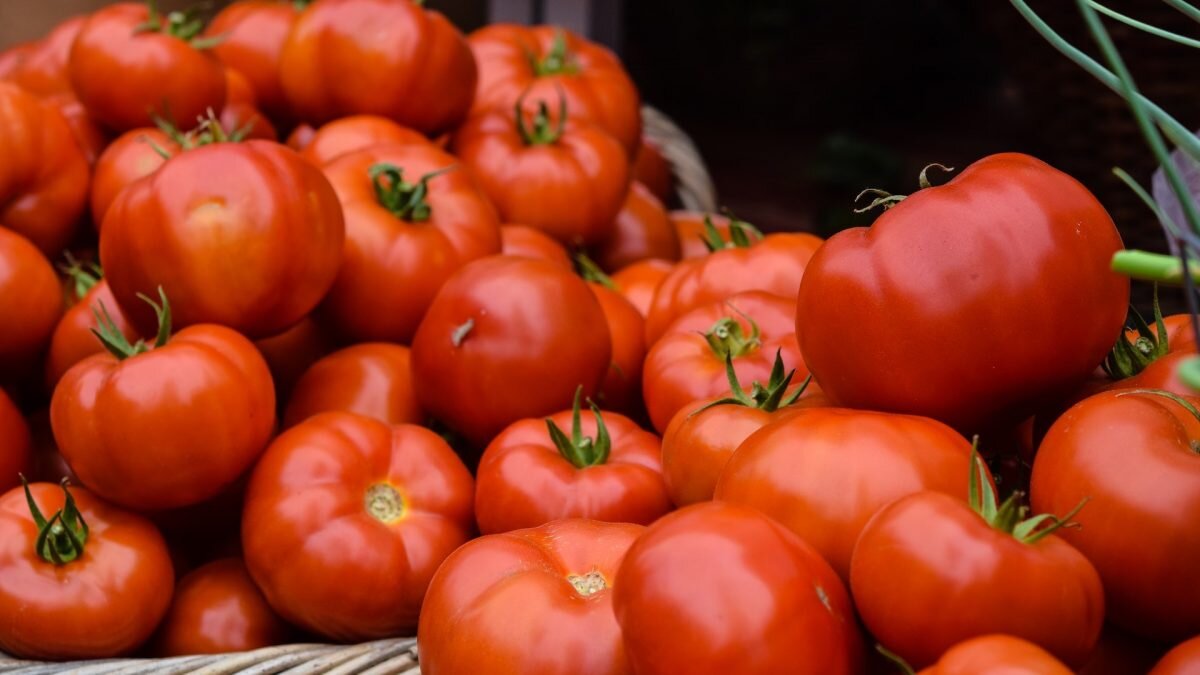    Фото: Josephine Baran / Unsplash Август Макаров