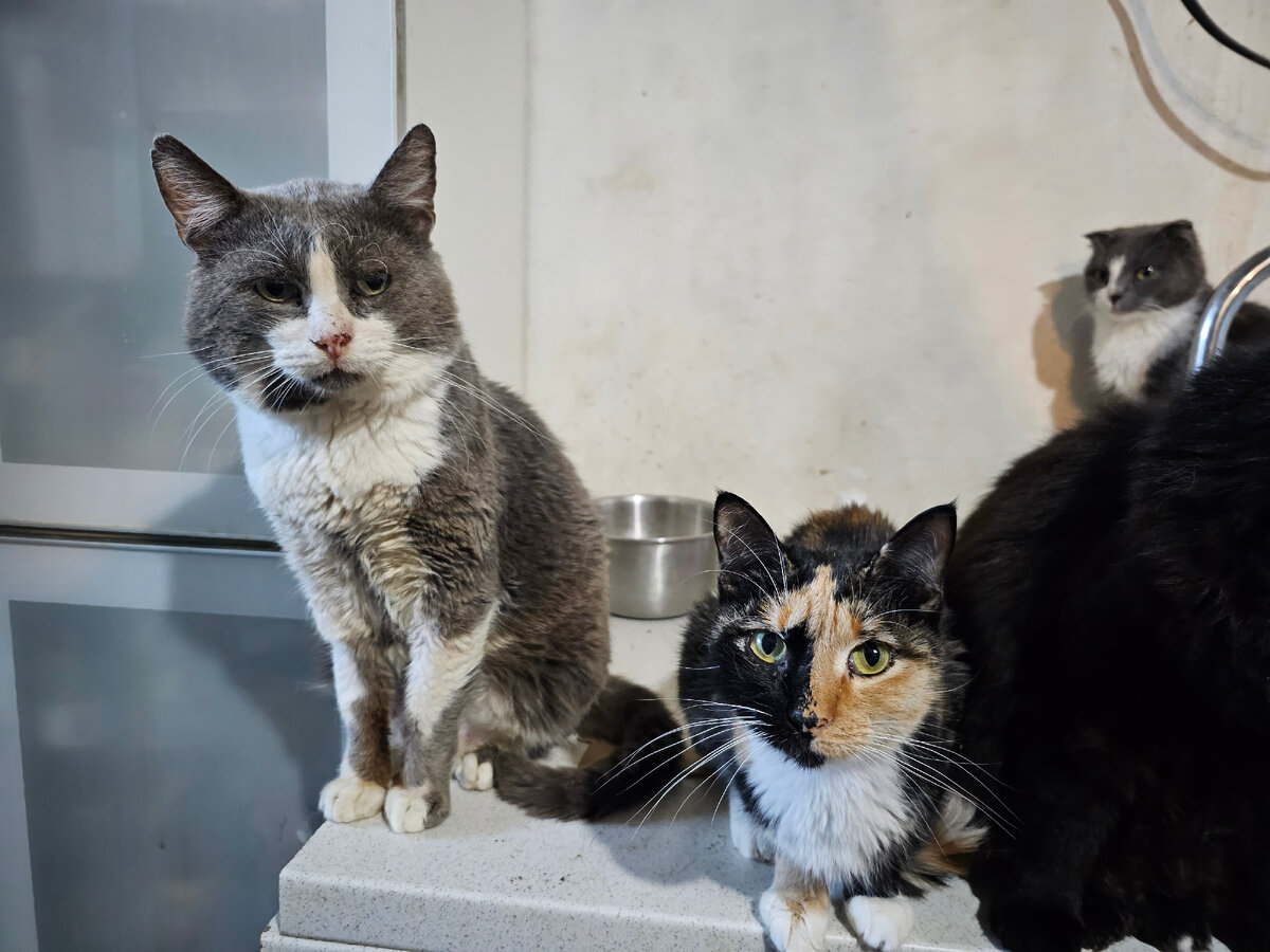 Фото автора. Дедуся и Риша.