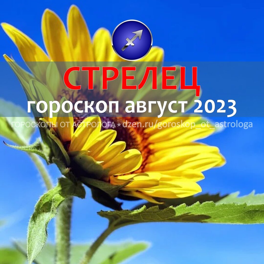 Гороскоп для Стрельца на август 2023 – новые события и формула успеха |  Гороскопы от Астролога | Дзен