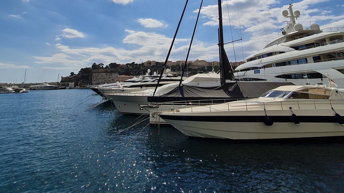     Межвузовский кампус будет находиться вблизи озера Круглое.