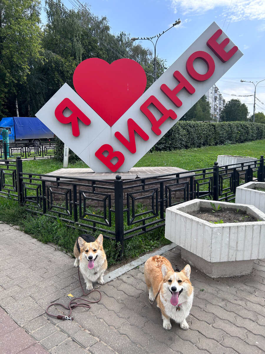Сестрички-путешественницы 💞.