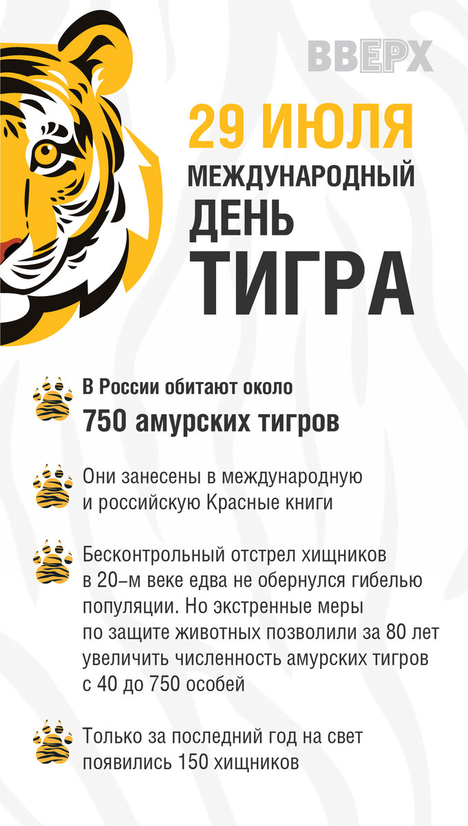 тигр что читать фанфики фото 56