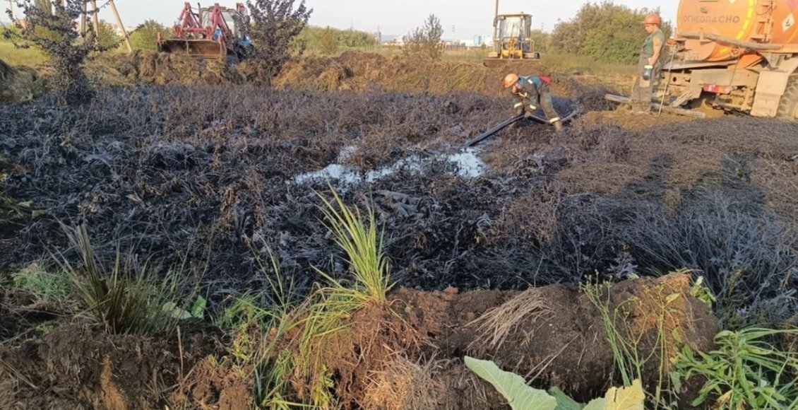    Фото: Волжско-Камское межрегиональное управление Росприроднадзора