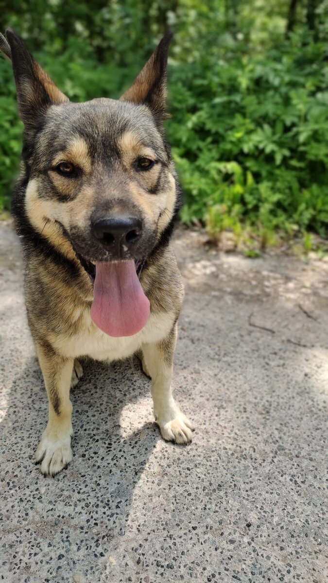 Фото Можайского приюта