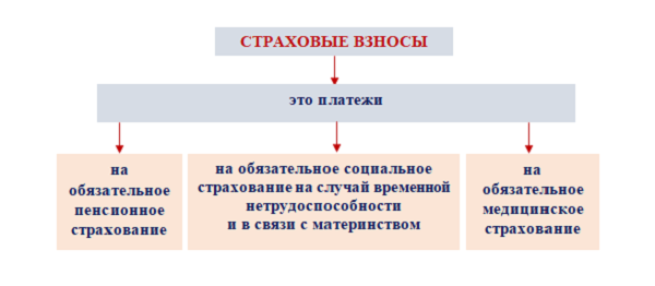 Связь установленных объективных границ отчисления налогов